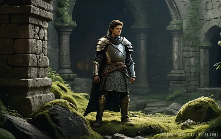 리니지M 최고의 파밍 장소 - **Prompt:** A young, determined Human Knight, dressed in practical, full-body leather and chainmail ...